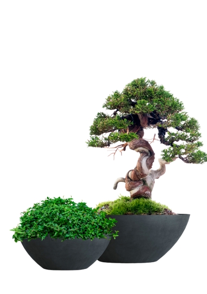 Кашпо CONCRETIKA BONSAY ANTHRACITE