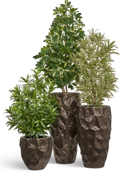 Кашпо TREEZ Effectory, Округлая чаша Design Crumple, Чернёная бронза