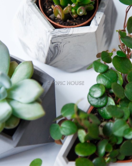 Кашпо бетонное настольное ТН 06