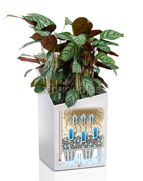 Кашпо LECHUZA CURSIVO 30х49 см