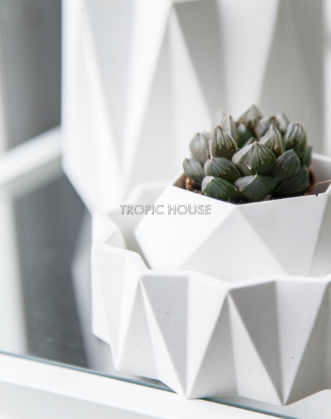 Кашпо Cassiopeia