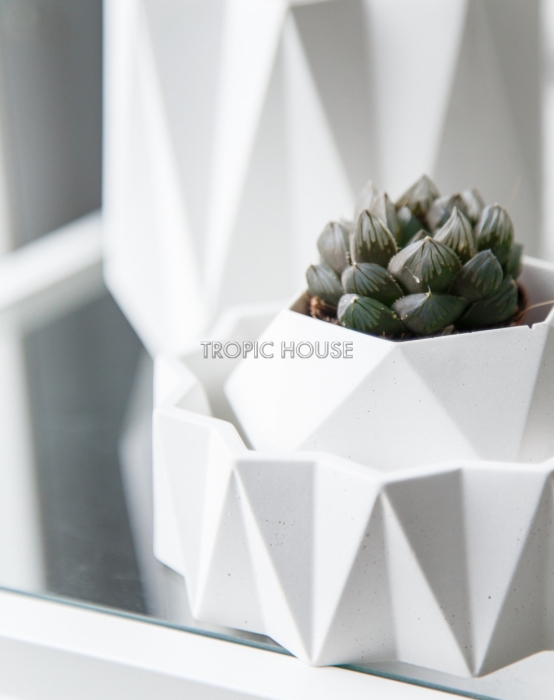 Кашпо Cassiopeia