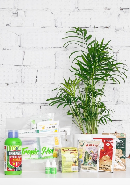 Зеленая аптечка Tropic House