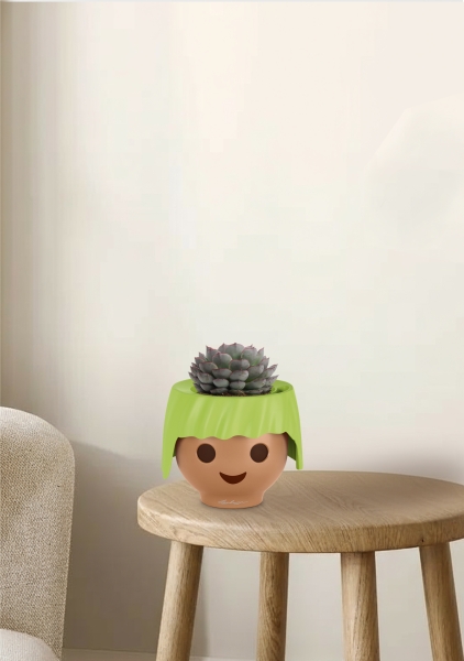 Эхеверия микс 10 см в OJO Эхеверия микс 10 см в OJO