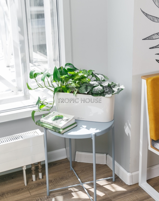 Микс из вьющихся в DELTA 20