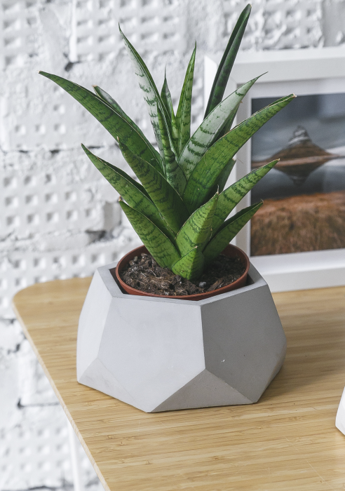 Кашпо бетонное настольное ТН 07