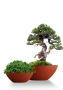 Кашпо CONCRETIKA BONSAY TERRACOTTA