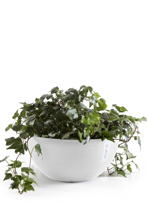 Ecopots Brussels 35