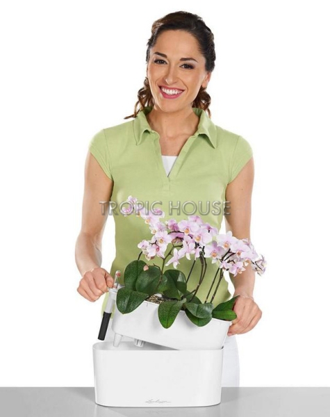 Кашпо LECHUZA DELTA 10х13 см