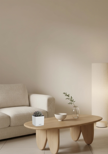 Эхеверия микс 10 см в CUBE Color 16 Эхеверия микс 10 см в CUBE Color 16