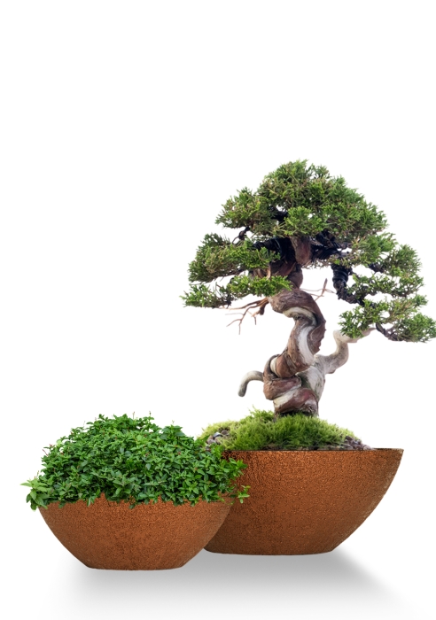 Кашпо CONCRETIKA BONSAY RICH COOPER