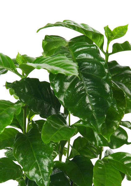 Набор Кофе в CUBE COLOR 14