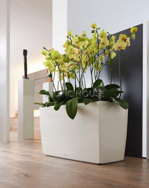 Кашпо LECHUZA CARARO 75х43 см