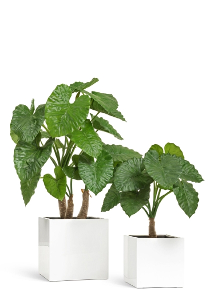 Кашпо TREEZ Effectory, Куб, Белый глянцевый лак