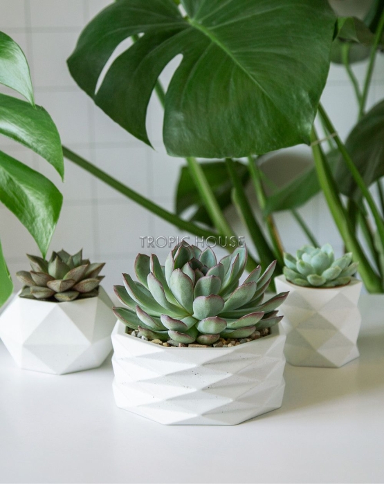 Кашпо Andromeda