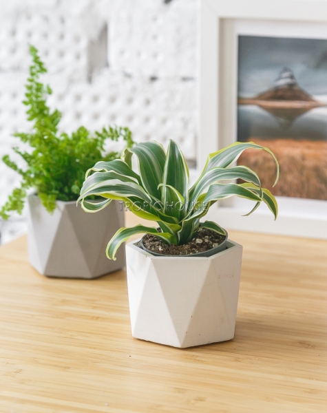 Кашпо бетонное настольное ТН 18