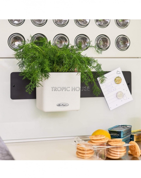 Кашпо LECHUZA ЗЕЛЕНАЯ СТЕНА Home Kit Color 15х14 см