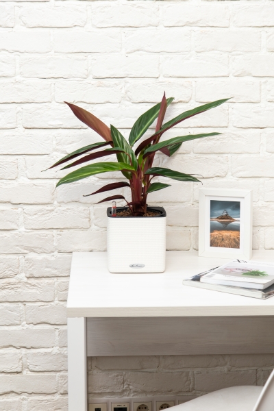 Строманта 15/50 см Строманта 15/50 см