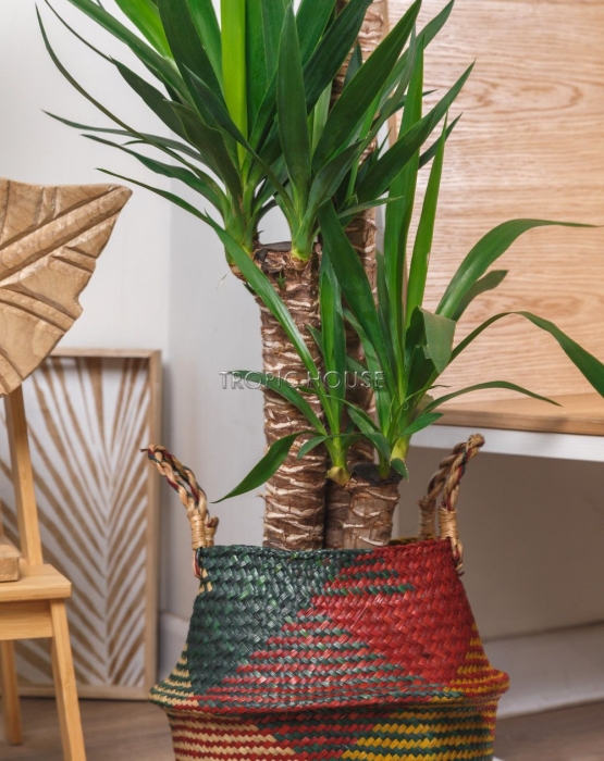 Корзина большая цветная