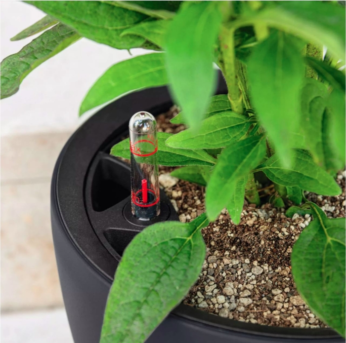 Кашпо LECHUZA CLASSICO Color LS 28х26 см