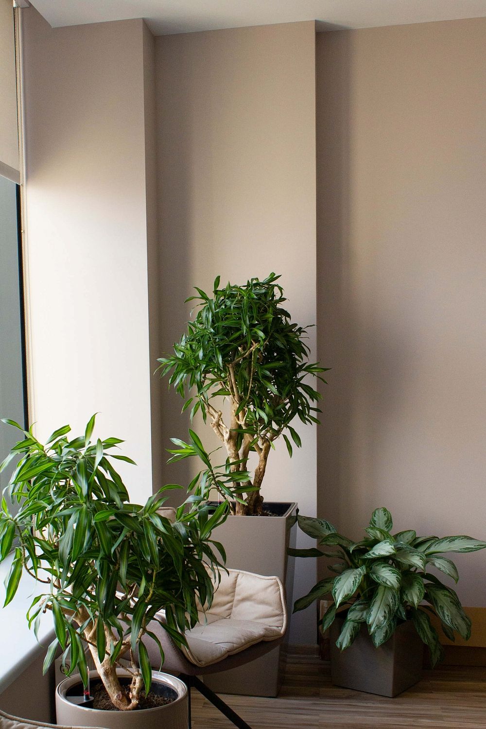 ПетроИнжиниринг