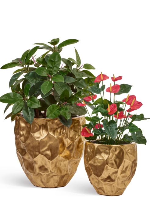 Кашпо TREEZ Effectory, Округлая чаша Design Crumple, Сусальное золото