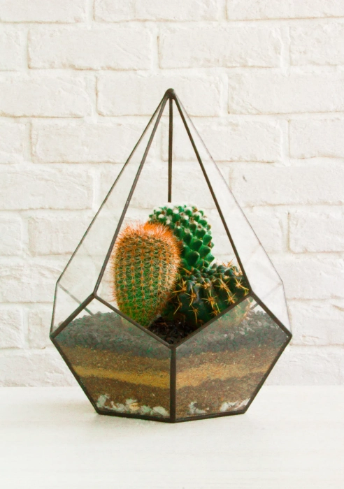 Флорариум - капля с кактусами