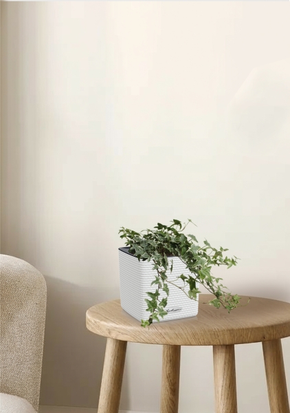 Хедера микс 13/30 см CUBE COLOR 16