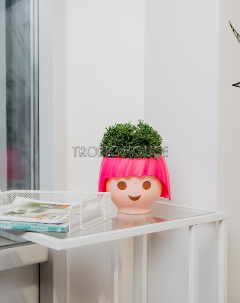 Рипсалис в OJO 25 см