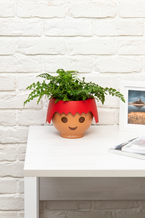 Папоротник Парвати в OJO