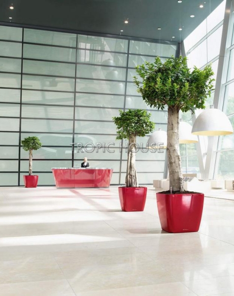 Кашпо LECHUZA QUADRO LS 50х47 см