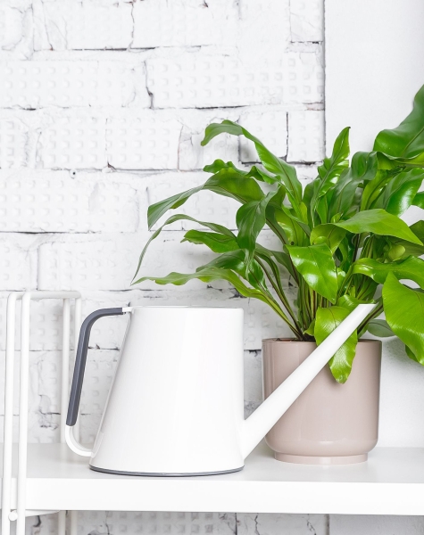 Лейка для комнатных цветов Loft (белый)