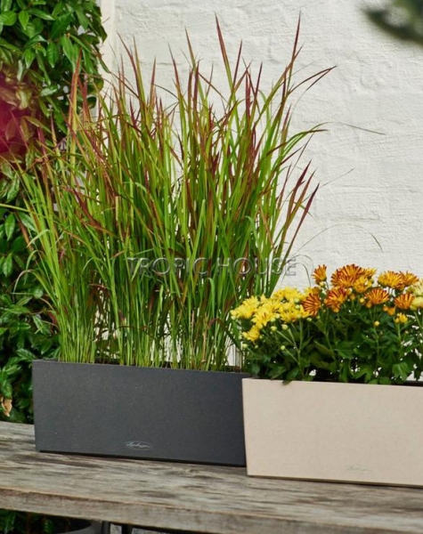 Кашпо LECHUZA BALCONERA Stone 50х19 см