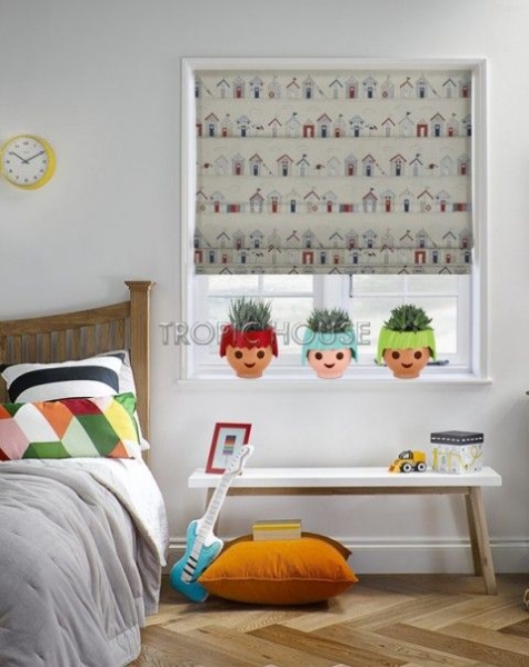 Набор "Хавортии" в OJO 25 см