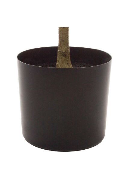 Дерево искусственное в кашпо "Сибирский Вяз", H220 см, 1764 листьев