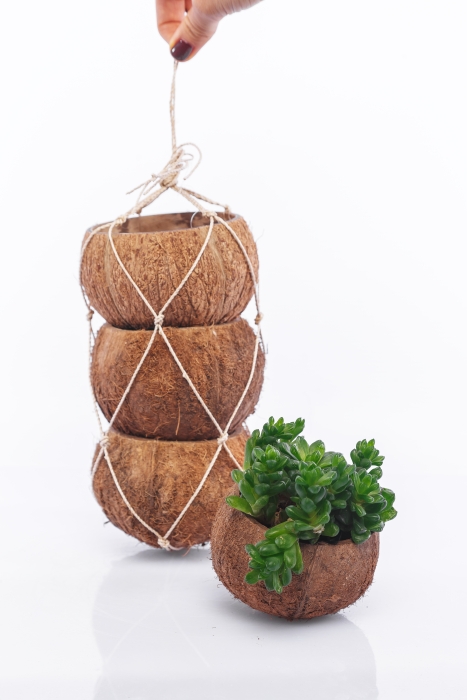 Набор из 3х кашпо "Кокос"