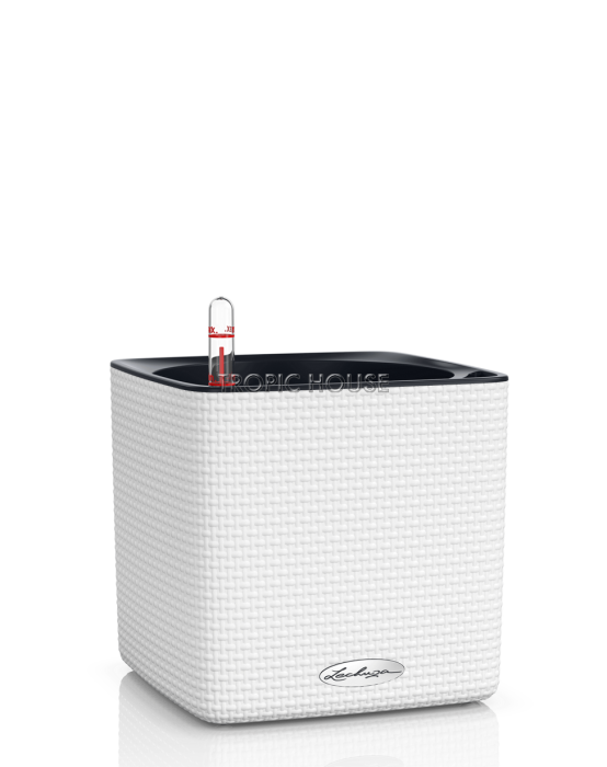 Кашпо LECHUZA CUBE Color 16х16 см