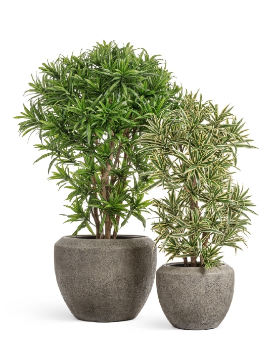 Кашпо TREEZ Effectory, Чаша , Серо-коричневый туф