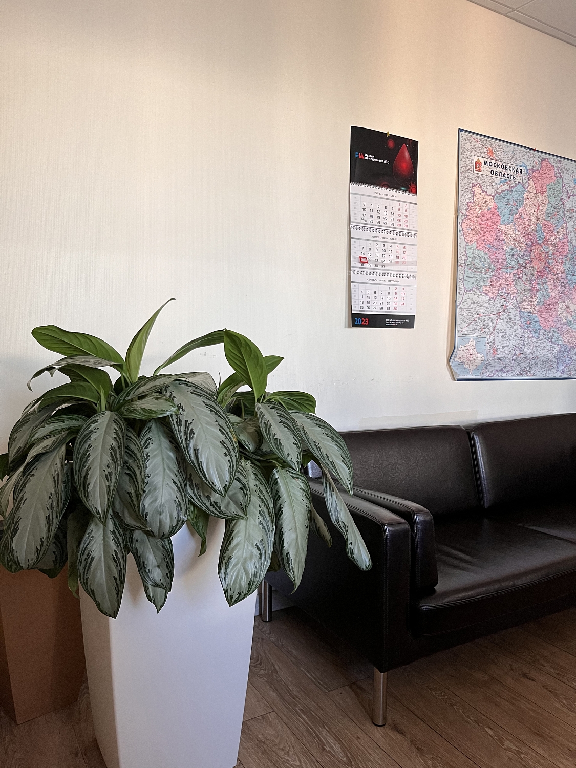 СЕРВИСНЫЙ УХОД ЗА РАСТЕНИЯМИ СЕРВИСНЫЙ УХОД ЗА РАСТЕНИЯМИ