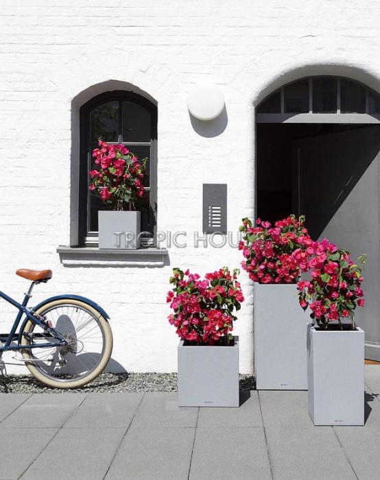 Кашпо LECHUZA CANTO Stone high 40х76 см