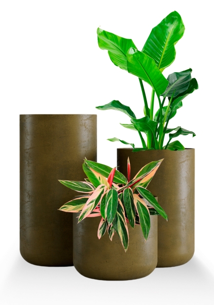 Кашпо CONCRETIKA TOPPER AVOCADO GREEN