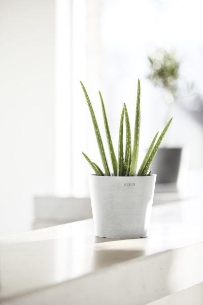 Ecopots Amsterdam 20