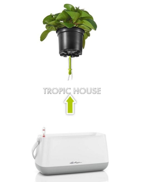 Корзинка для растений LECHUZA YULA 38х33 см