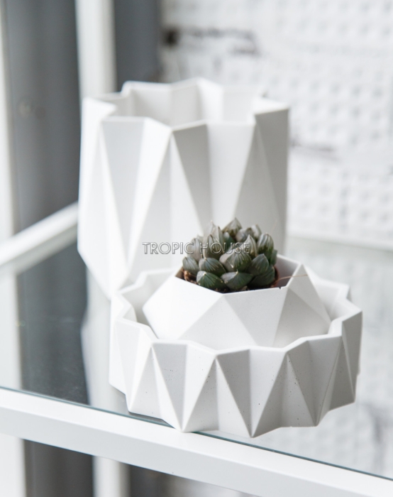 Кашпо Cassiopeia