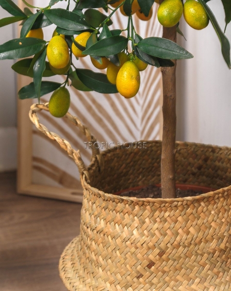 Корзина средняя крафт