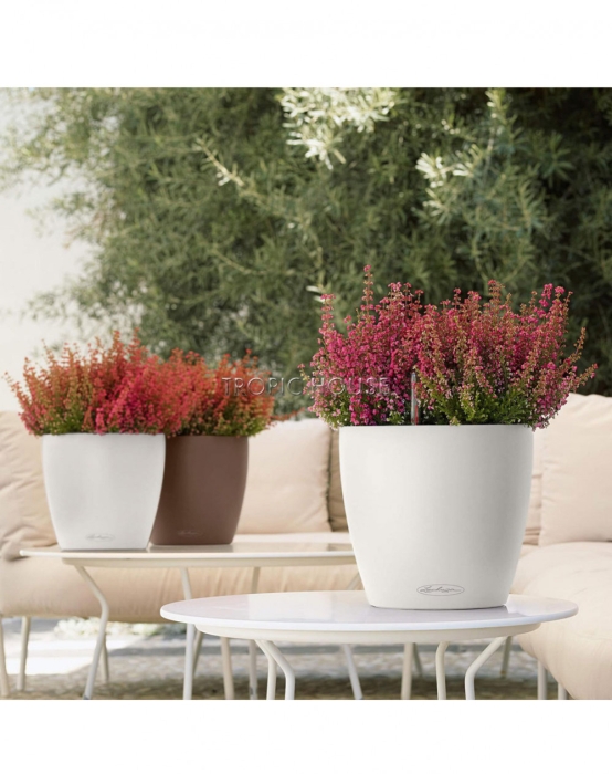 Кашпо LECHUZA CLASSICO Color 28х26 см