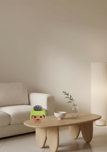 Эхеверия микс 10 см в OJO Эхеверия микс 10 см в OJO