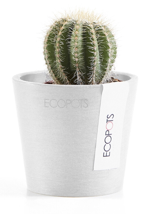 Ecopots Amsterdam Mini 8