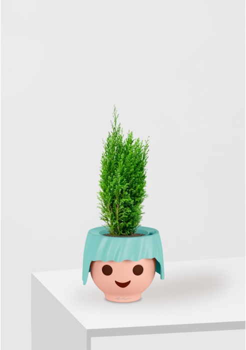 Кипарисовик микс 9 см в OJO